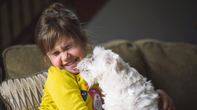 kid-dog