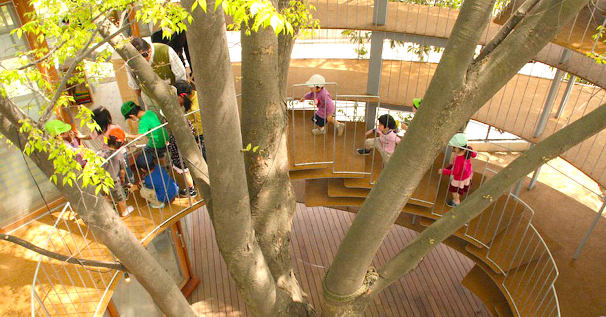 kindergarten-around-tree-zelkova-fuji-tezuka-architects-27