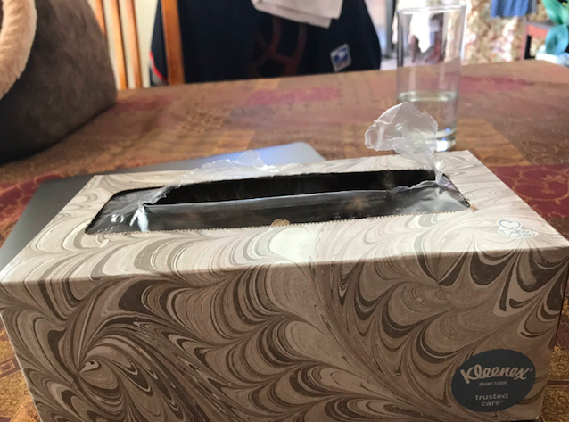 kitten-gets-stuck-in-tissue-box-3.jpg
