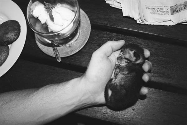 kitten-rescue5.jpg