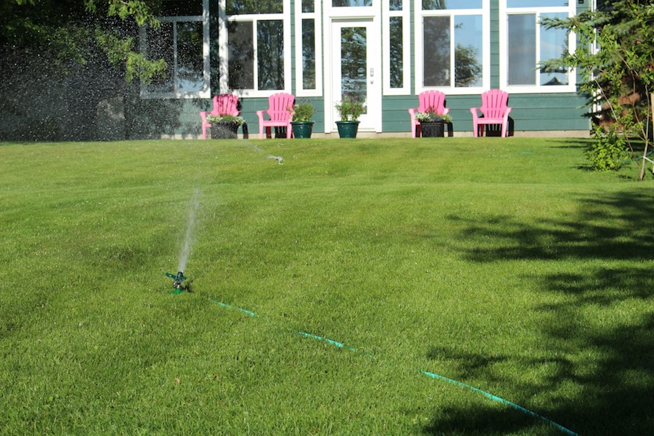 lawn-pink-chairs-water-sprinkler.jpg