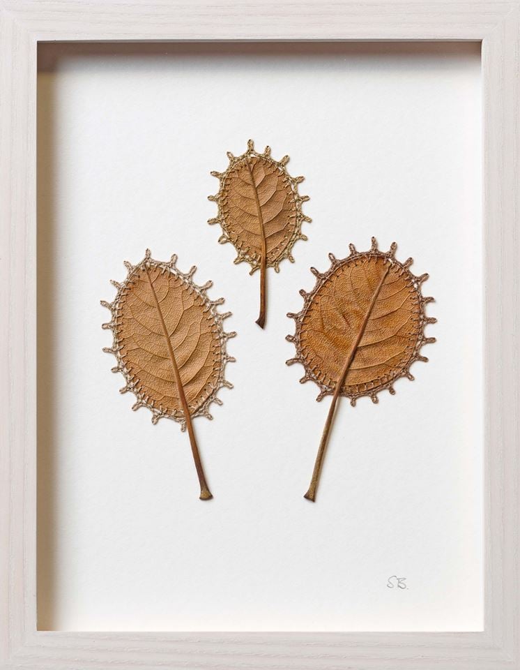 leaf-1.jpg leaf-1.jpg