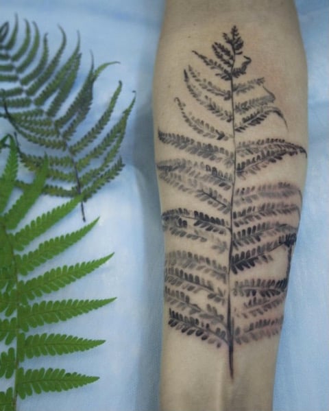 leaf-12-1.jpg
