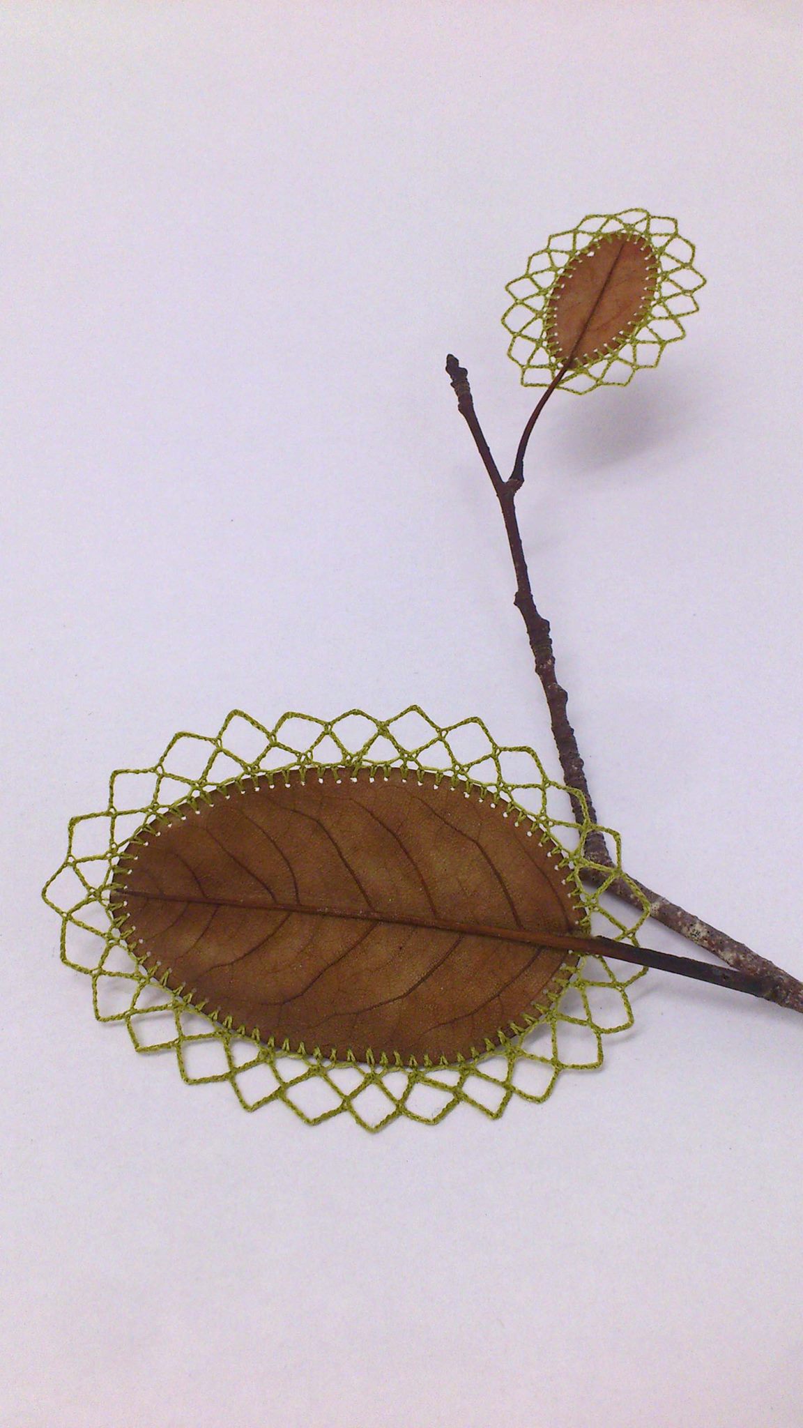 leaf-12.jpg