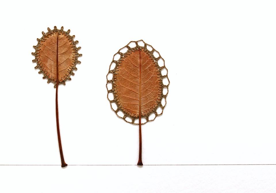 leaf-13.jpg