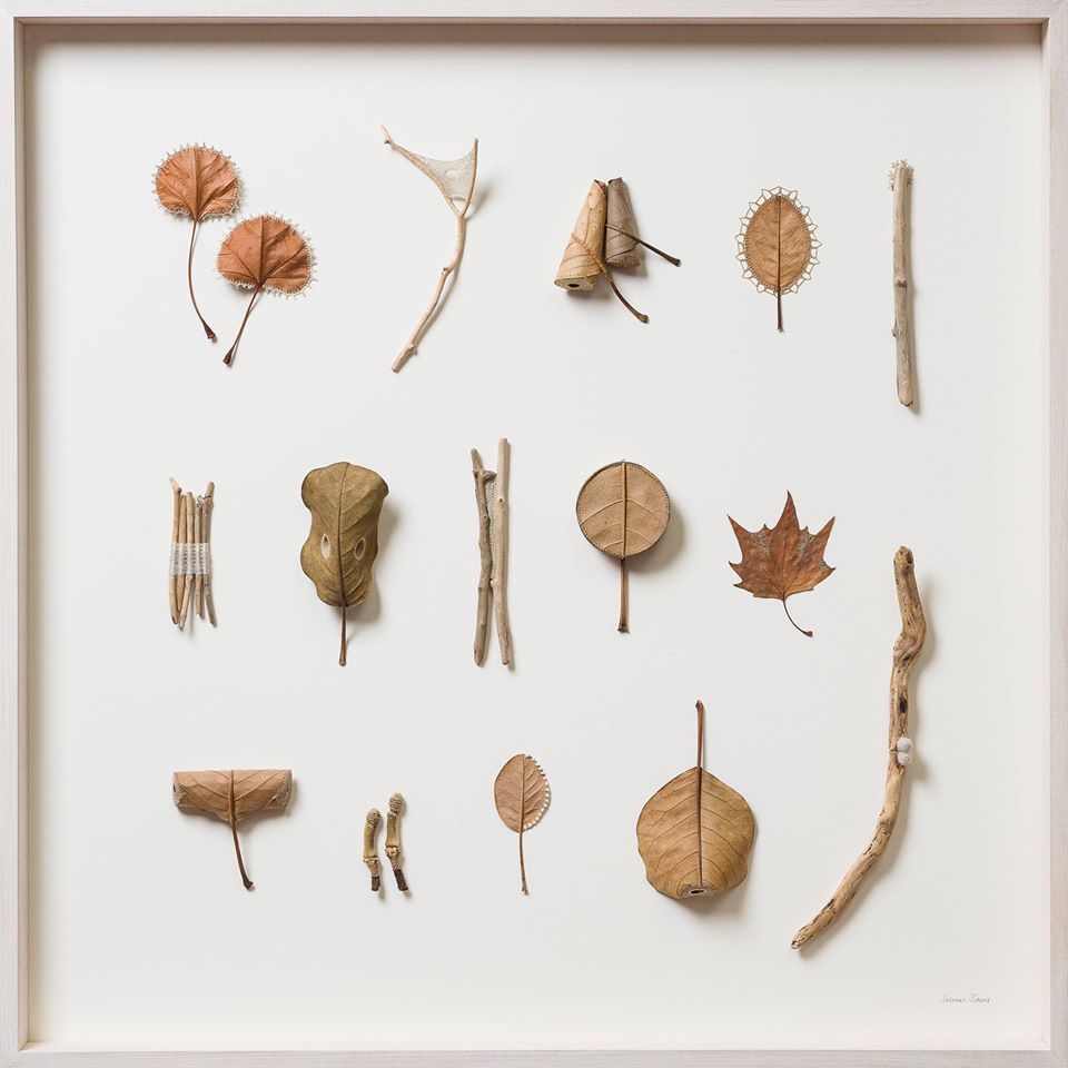 leaf-14.jpg