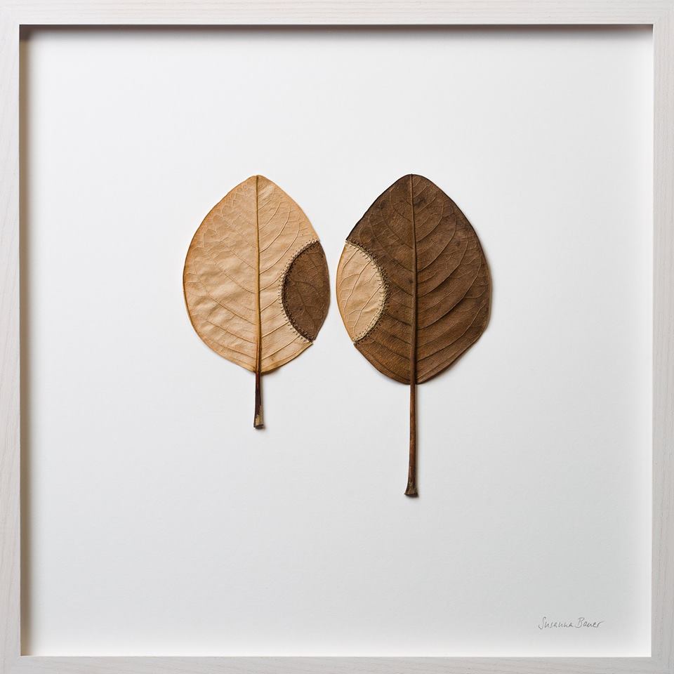 leaf-2.jpg