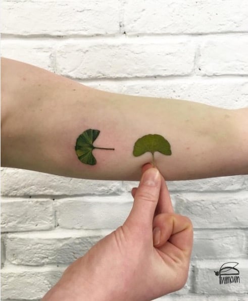 leaf-3-1.jpg