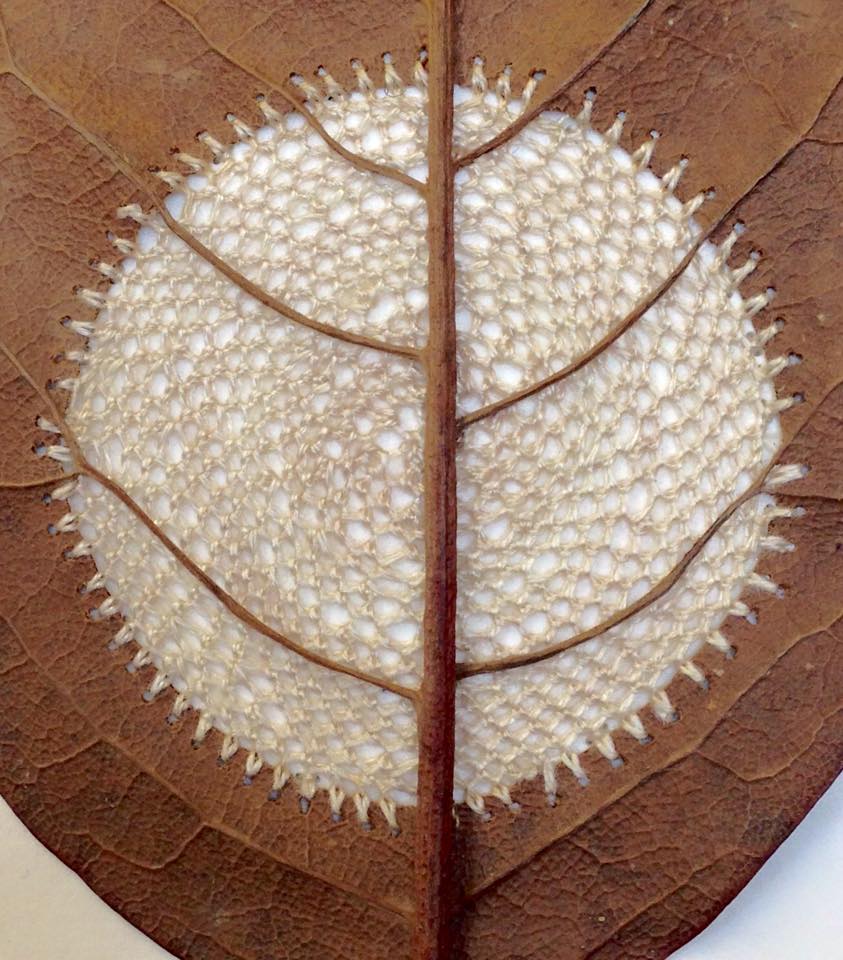 leaf-3.jpg