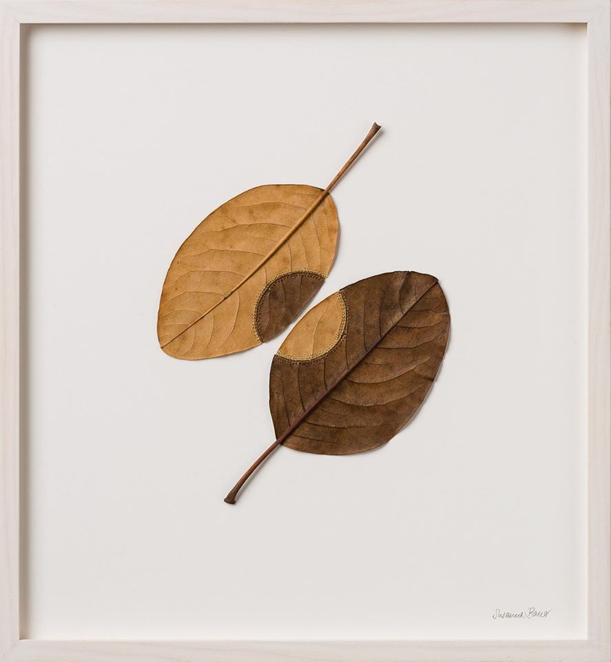 leaf-4.jpg