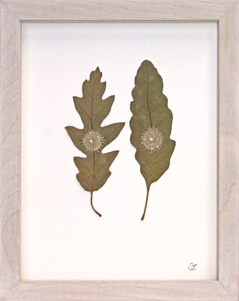 leaf-6.jpg