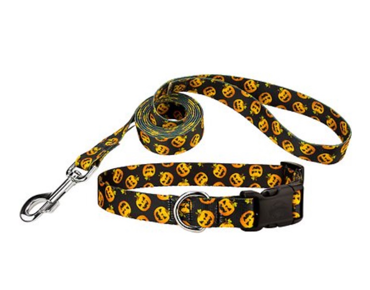 leash-set-1.jpg