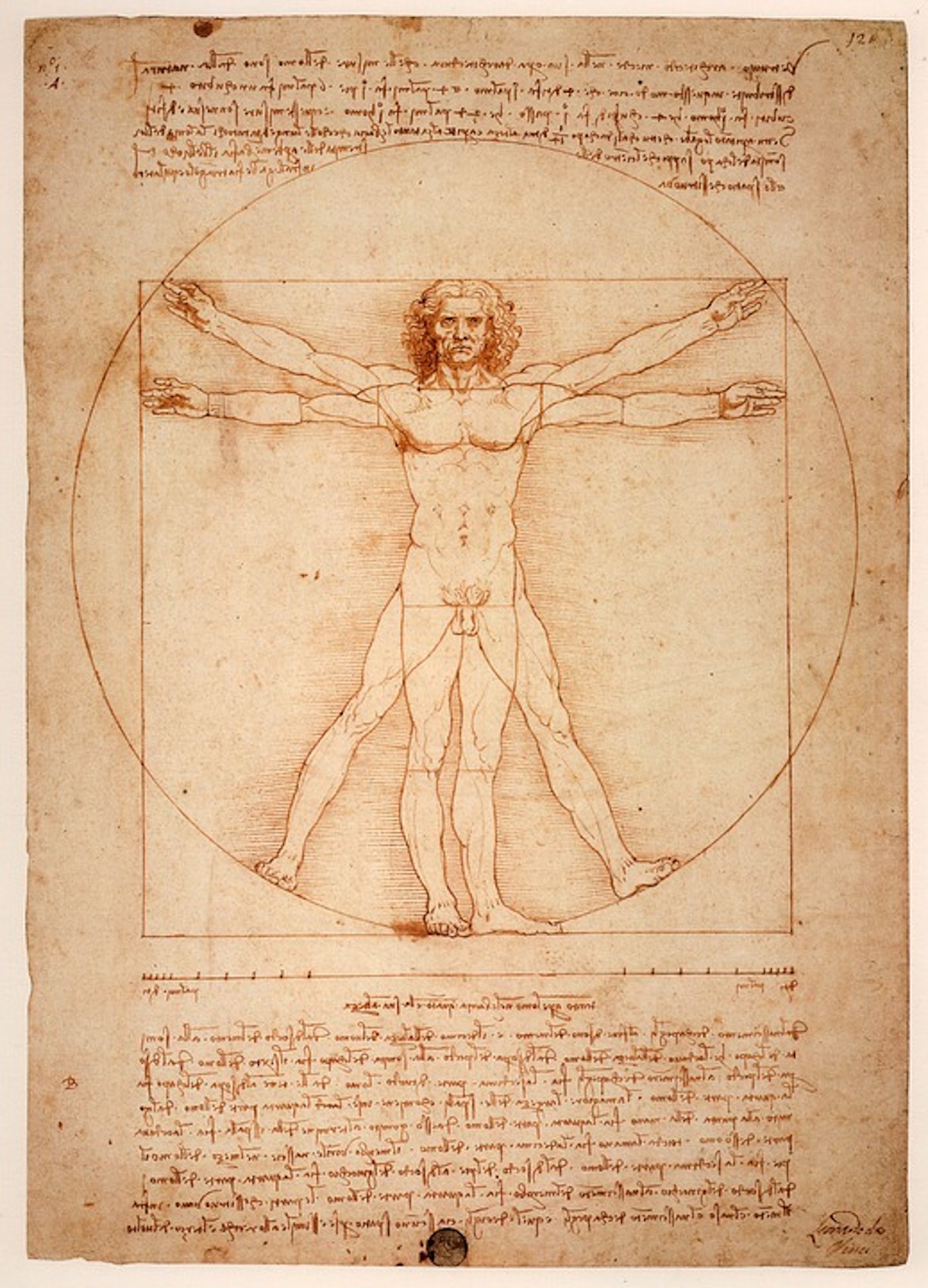 leonardo-da-vinci-1125056_960_720.jpg