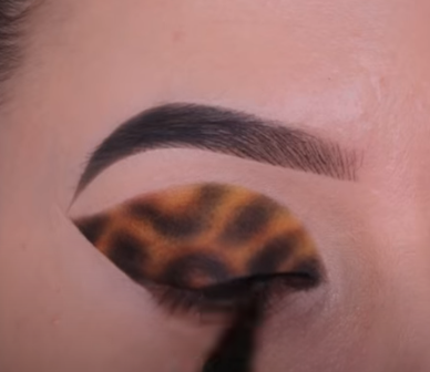 leopard-eye.png
