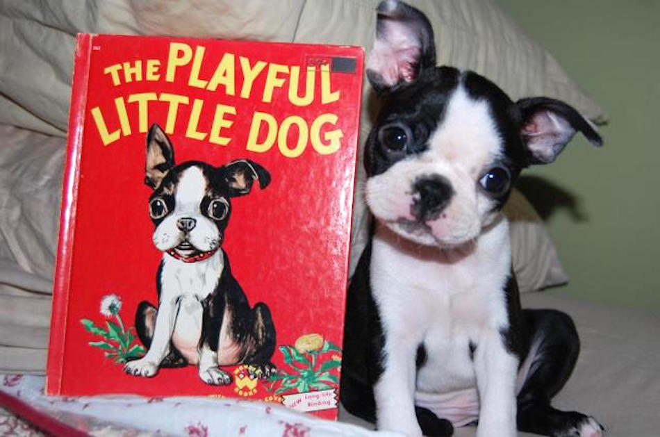 life-imitating-art-1.jpg