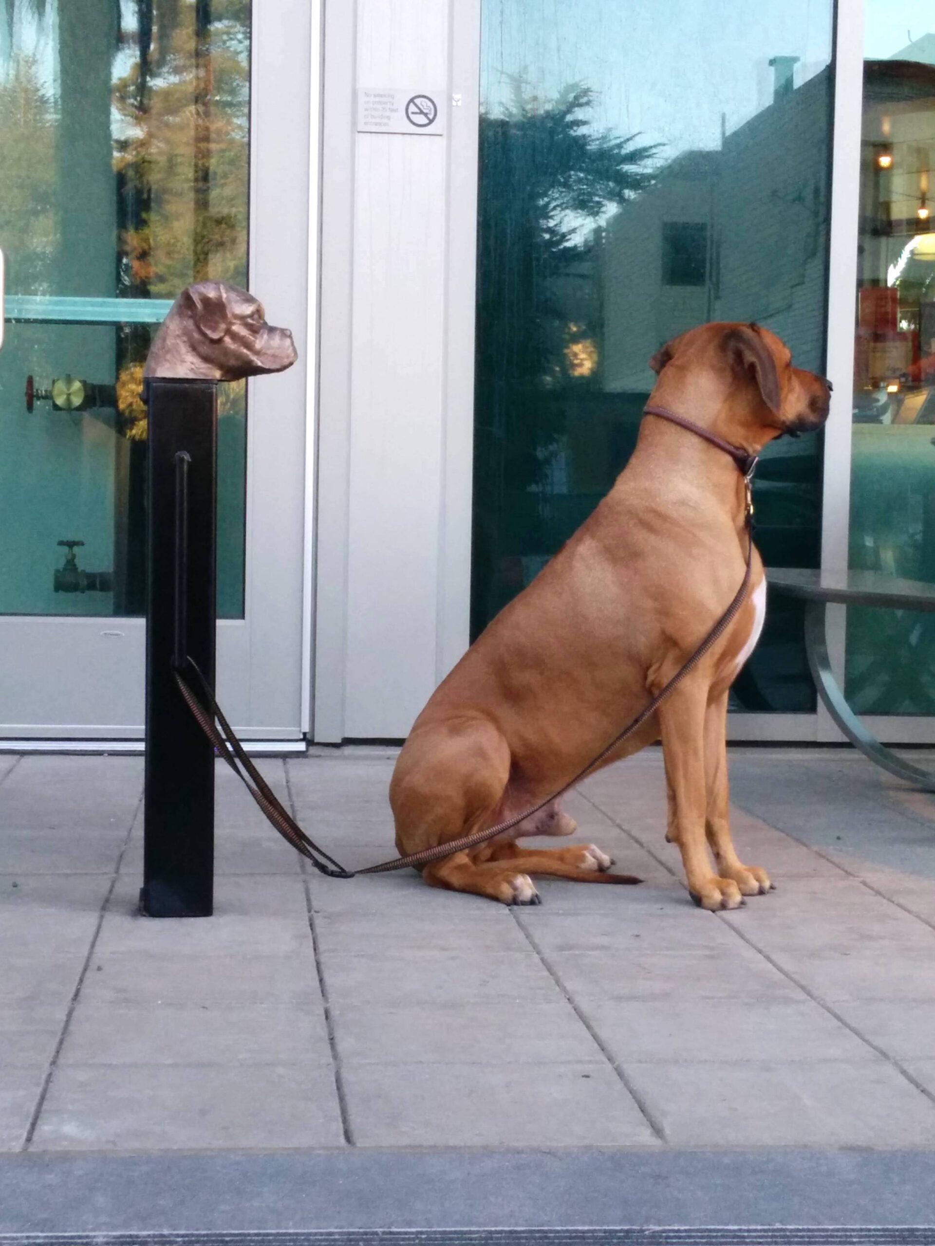 life-imitating-art-4.jpg