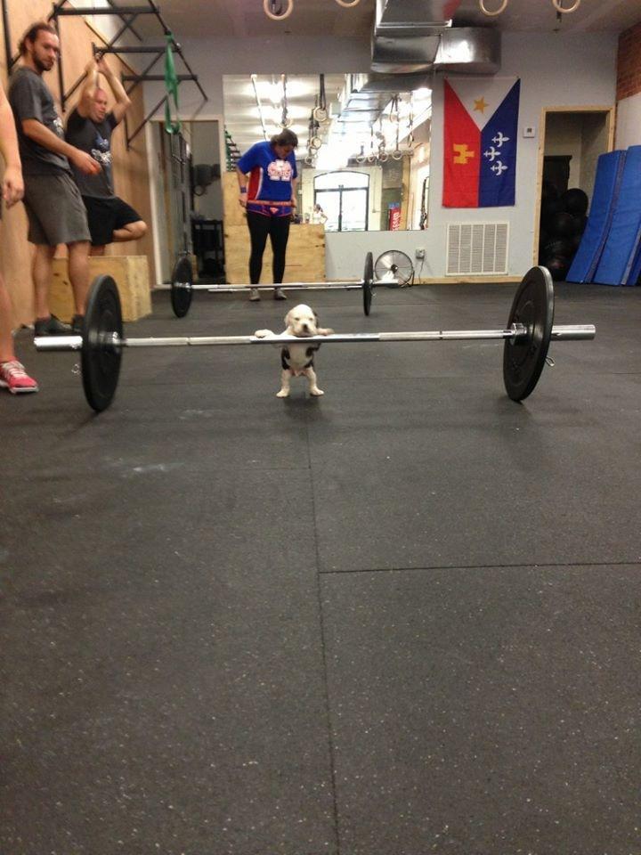 lift.jpeg
