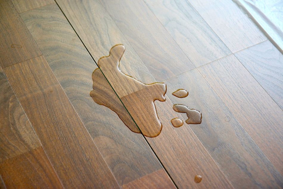 liquid-on-hardwood-1.jpg