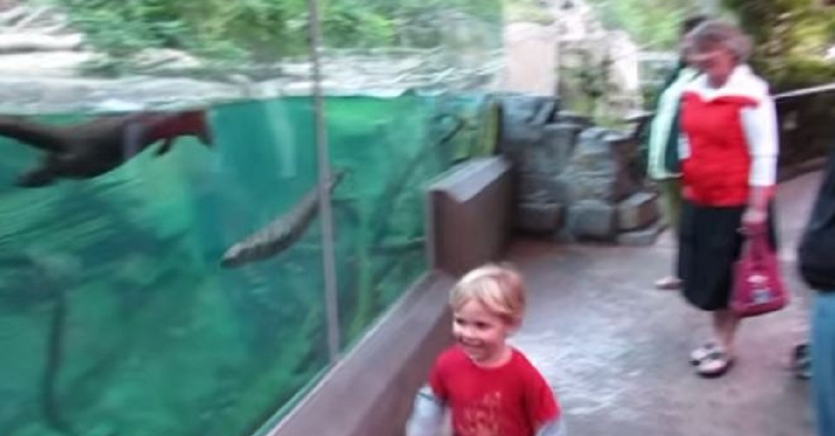 little-boy-plays-in-front-of-otter-tank