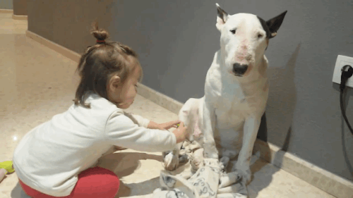 little-girl-playing-doctor-3.gif