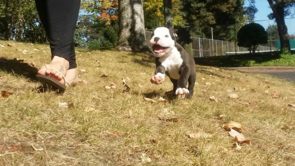 little-pit.jpg