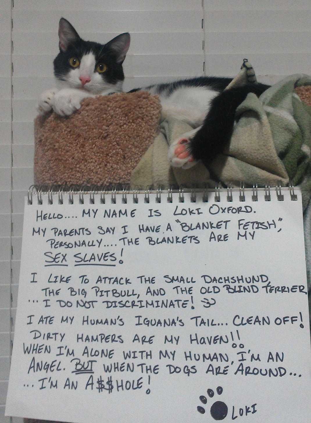 lokilonglist.jpg