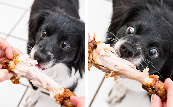 lola-eating-chicken.jpg