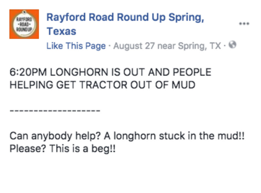 longhorn-post-on-fb.jpg