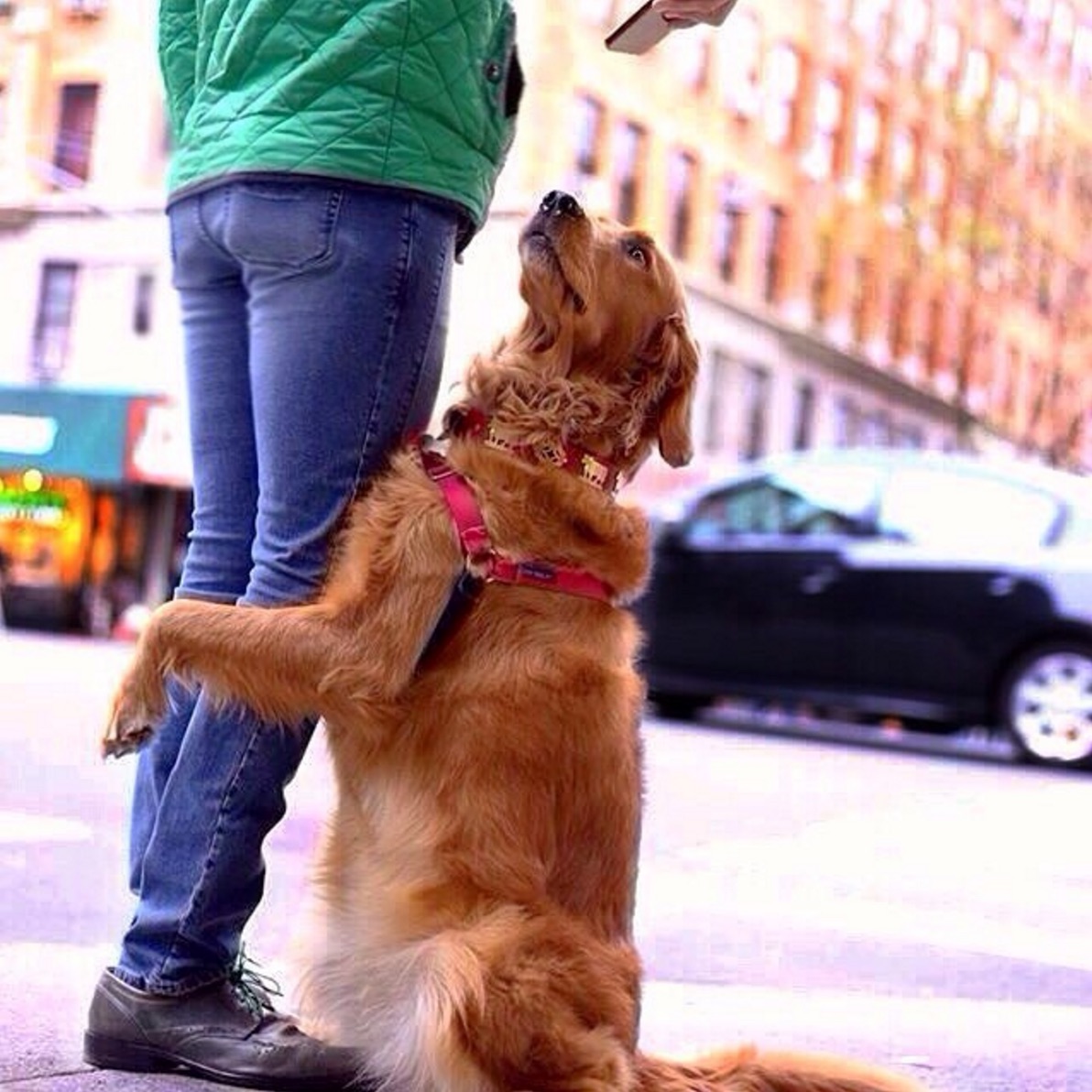 louboutina-hugs.jpg