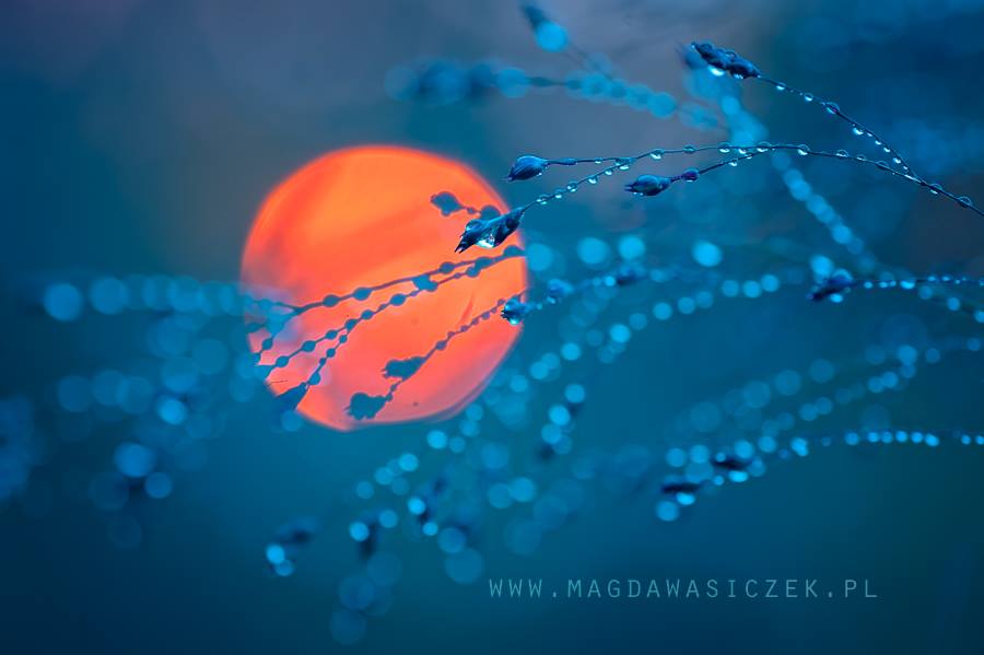 magda-3.jpg