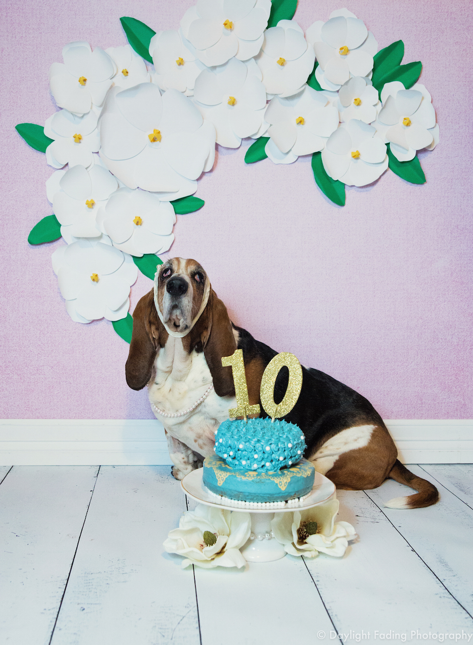 maggie-7.jpg