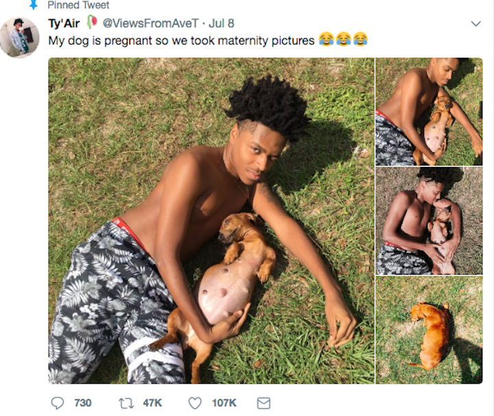 man-has-photo-shoot-for-pregnant-dog-2.jpg