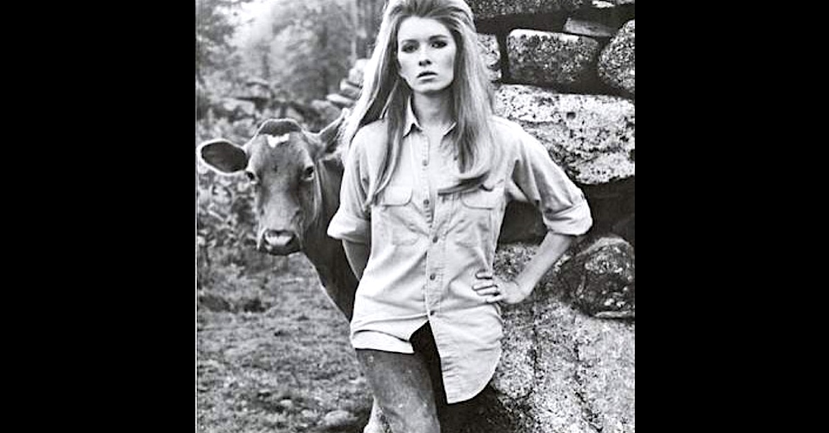 martha-stewart-model