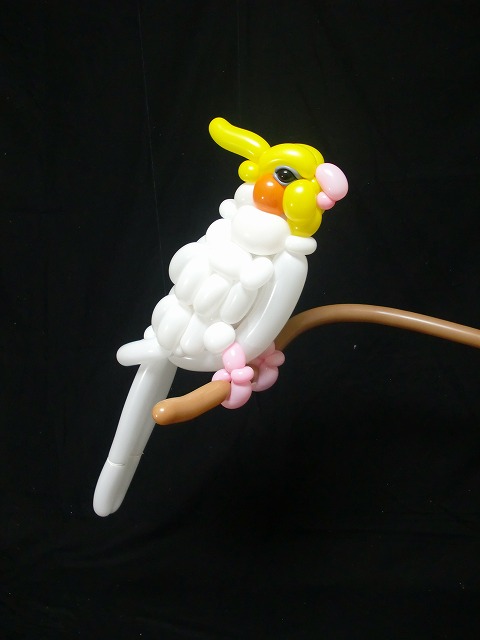 masa-7.jpg