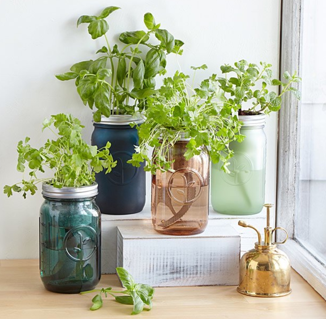 mason-jar-garden.jpg