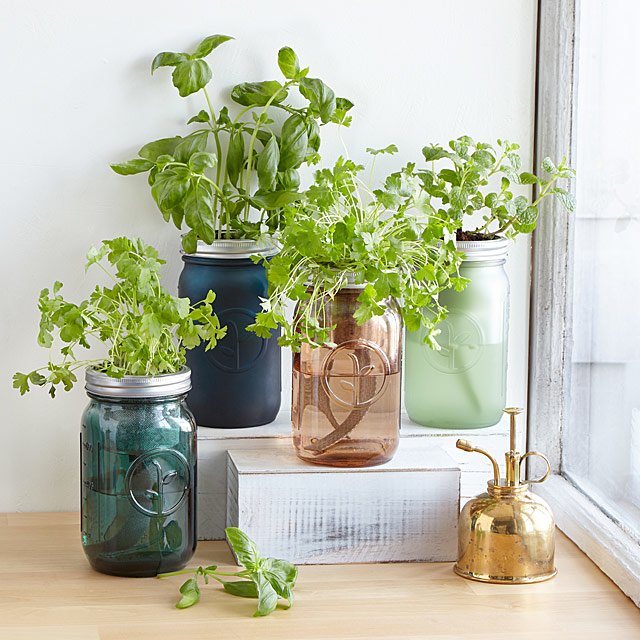 mason-jar-herb.jpg