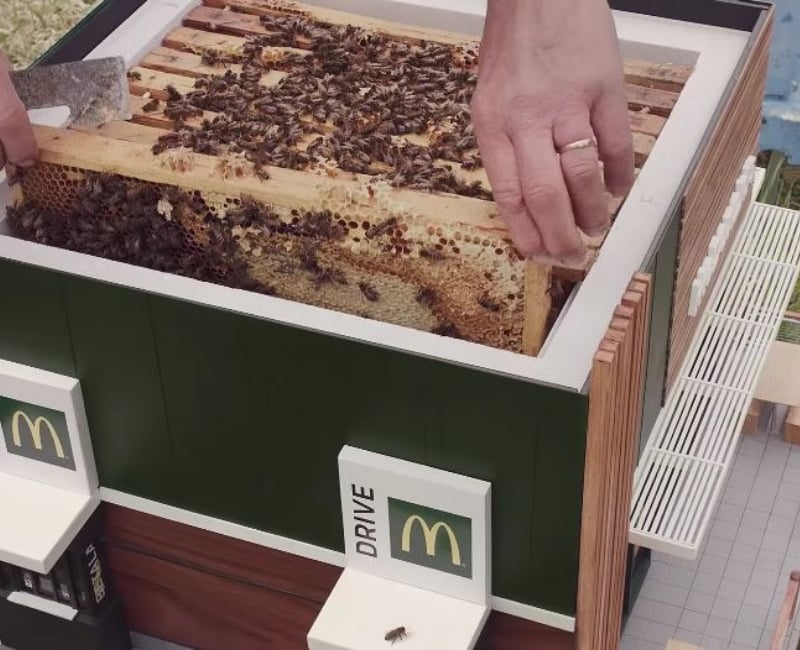 mcdonalds-3.jpg