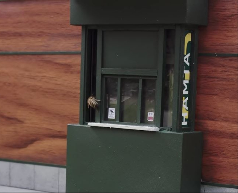 mcdonalds-4.jpg