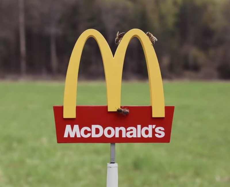mcdonalds-5.jpg