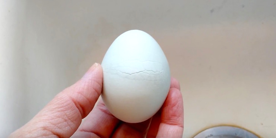 mended-egg.jpg