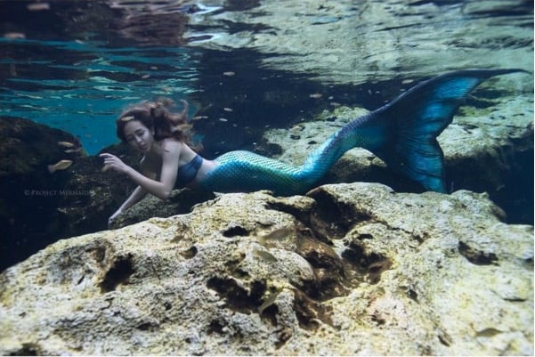 mer-161.jpg