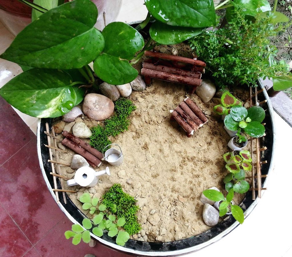 mini-garden.jpg