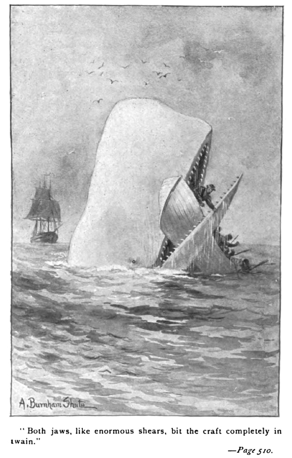 moby-dick.jpg