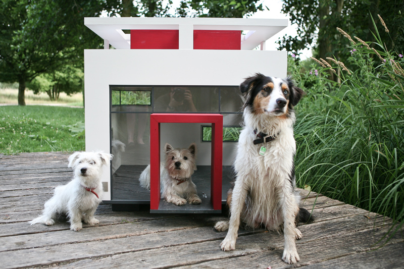 modern-dog-house.jpg