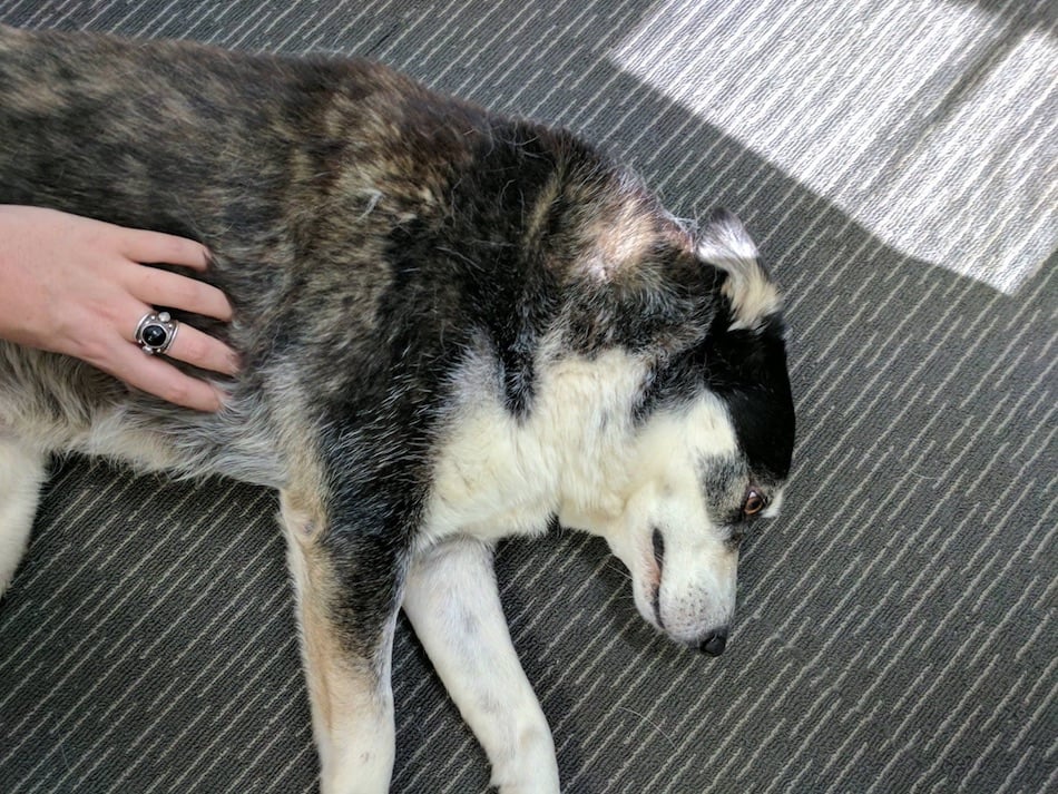 molly-1.jpg molly-1.jpg