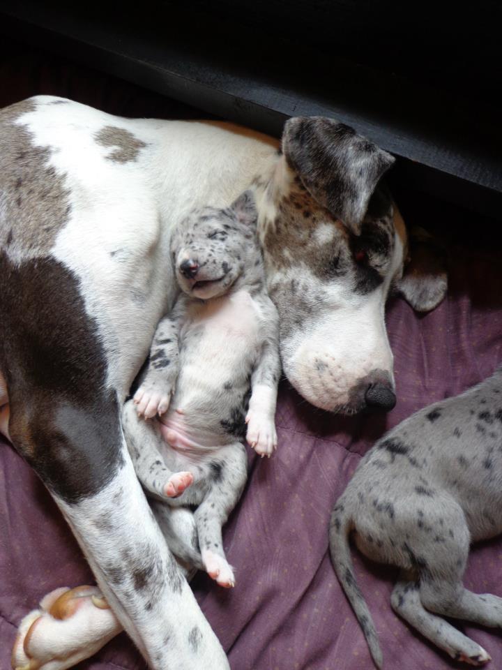 momandpup.jpg