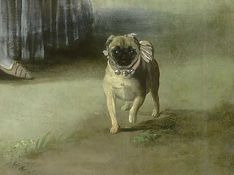 mops-marie-antoinette-pug.jpg