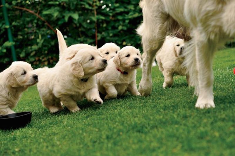 mothers-love-4.jpg