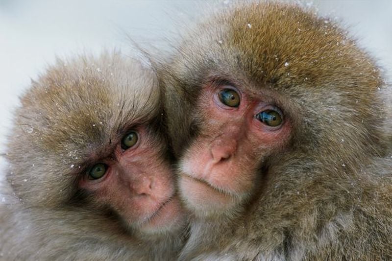 mothers-love-6.jpg