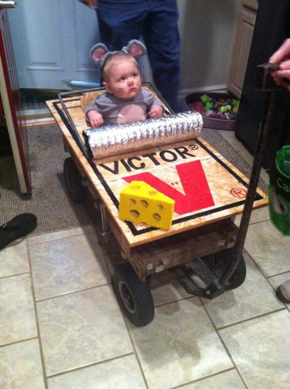 mouse-trap.jpg